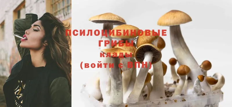 Галлюциногенные грибы MAGIC MUSHROOMS Щёлково